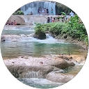 Tassian Kesha profile picture